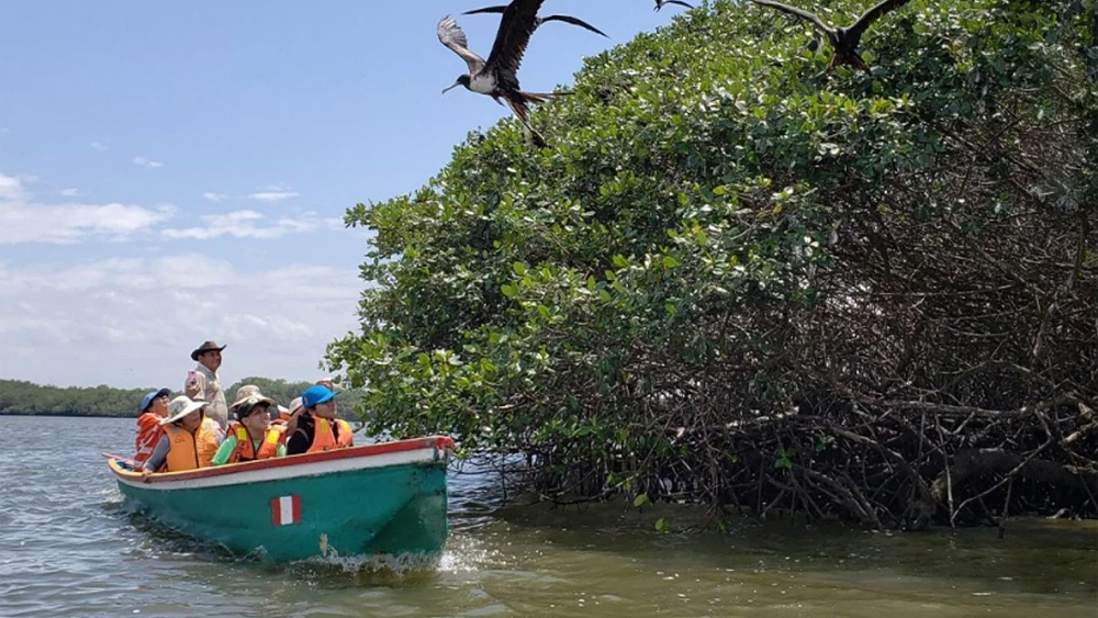 viaje en familia norte piura talara